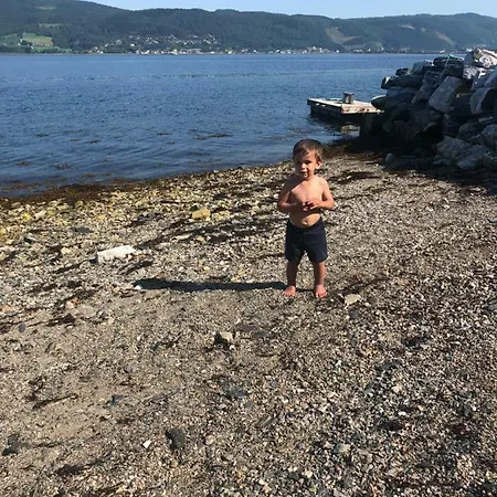 Torvikvegen 13 *